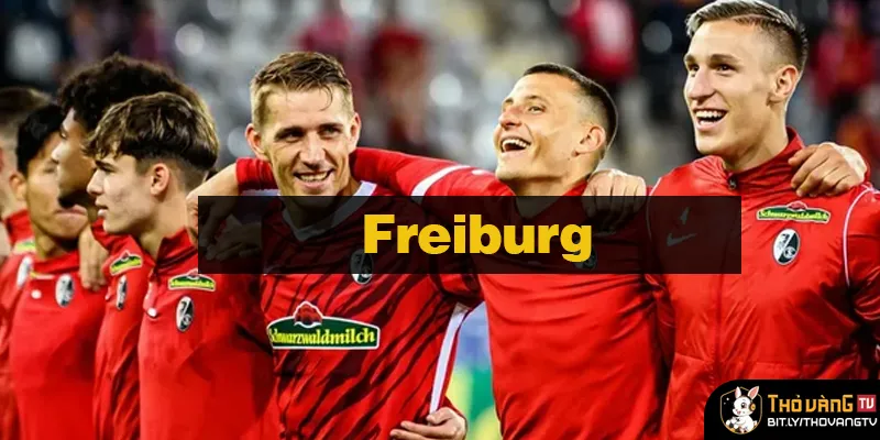 Freiburg - Khám phá đội bóng gây ấn tượng tại Bundesliga
