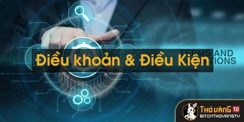 Điều khoản và điều kiện khi tham gia Thovang TV