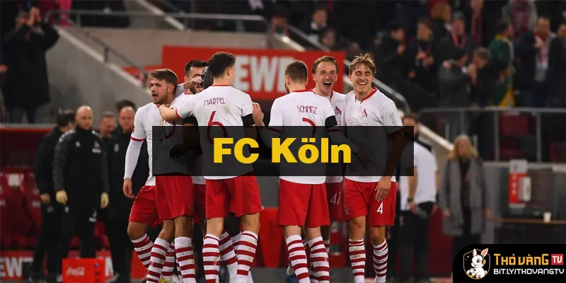 FC Köln và Hành Trình Ấn Tượng Tại Bundesliga