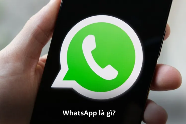 ThovangTV Giới Thiệu Top 5 ứng dụng thay thế Telegram – Giải pháp khi Telegram bị chặn - Picure 2