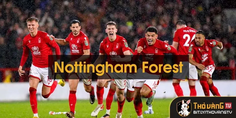 Nottingham Forest: Chặng Đường Trở Lại Ngoại Hạng Anh Nottingham Forest: Chặng Đường Trở Lại Ngoại Hạng Anh