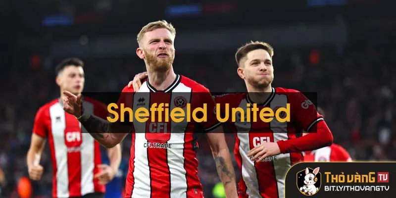 Sheffield United và Hành Trình Tại Ngoại Hạng Anh Sheffield United và Hành Trình Tại Ngoại Hạng Anh